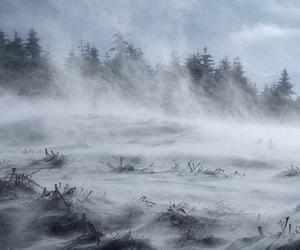 Atak niszczycielskich śnieżyc! Ludzie powinni się bać? Złowieszcza prognoza