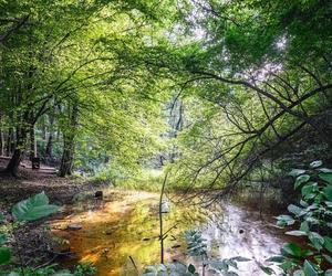 Park miejski Starachowice - po otwarciu i jesienią 2023 r.