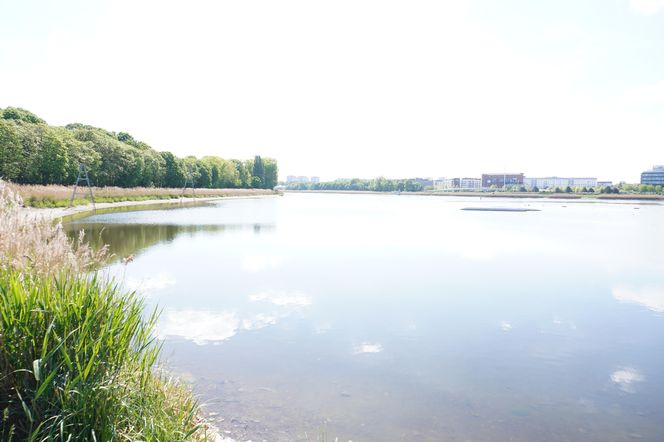 3. Park nad Maltą 