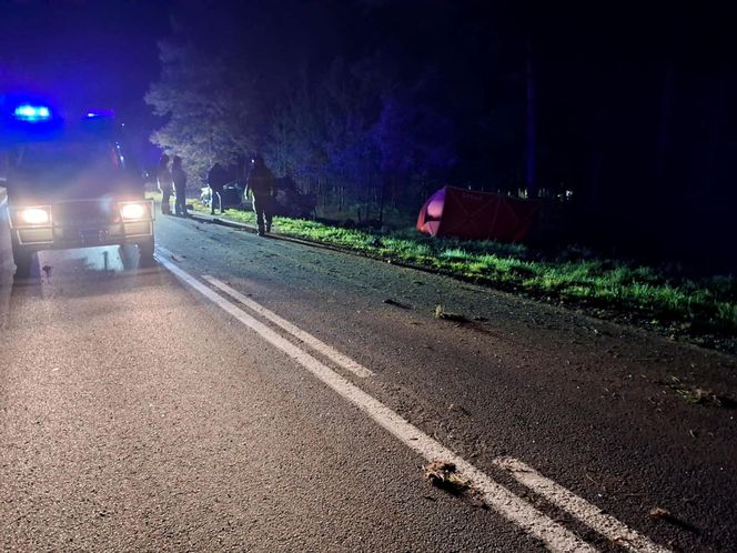 Tragiczny wypadek pod Ostrowią Mazowiecką. Audi huknęło w przepust, z auta wypadli dwaj mężczyźni
