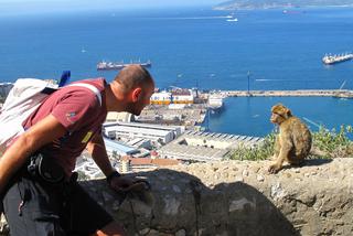 Makaki na Gibraltarze