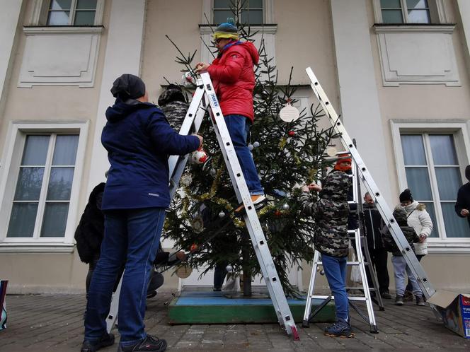 Kalisz. Udekorowana choinka stanęła na środku rzeki 