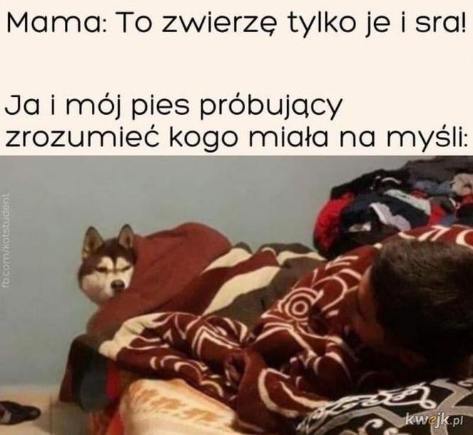 Memy z mamą w roli głównej 