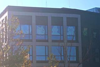 Korporacyjna kreatywność w szczecińskim biurowcu. To prawdziwe dzieła sztuki!