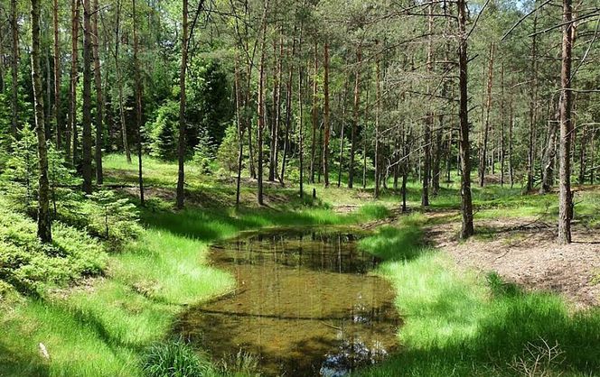 Kolorowe jeziorka w Bibieli na Pasiekach to atrakcja województwa śląskiego