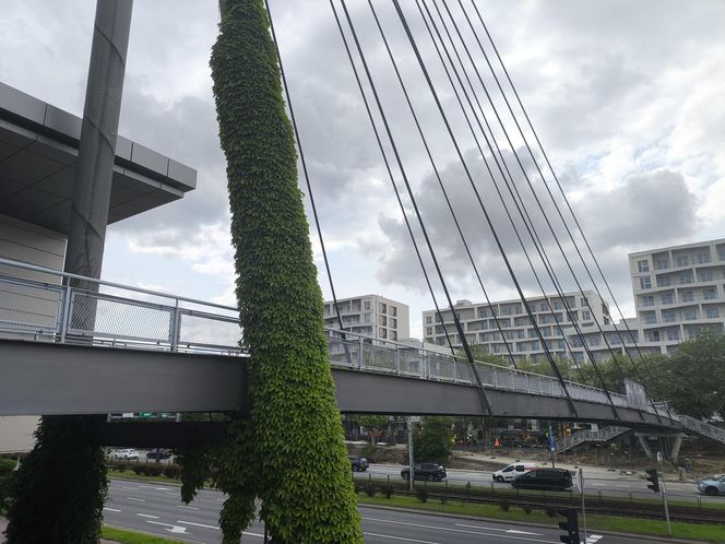 Kolejna kładka do likwidacji w Warszawie. W jej miejscu powstanie przejście naziemne
