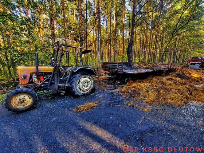  W środku lasu spłonął traktor z transportem siana
