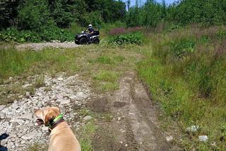 Bohdan od dwóch miesięcy nie daje znaku życia. Szukają go psy tropiące