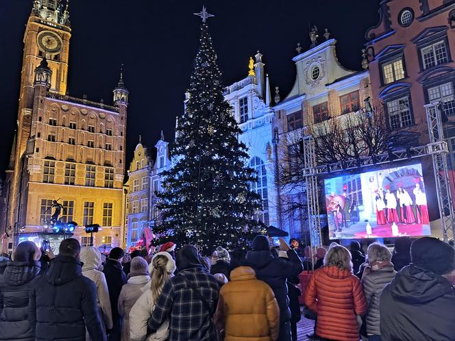 Gdańska choinka rozbłysła. Zobaczcie nasze zdjęcia!