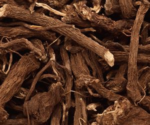 Tajemnicza roślina o leczniczych właściwościach. Leczy infekcje i wspiera krążenie