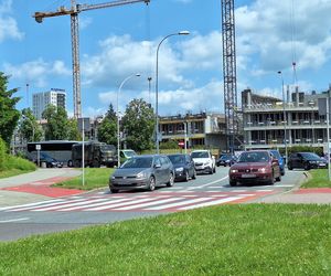 Te miejsca najbardziej zmienią się w Rzeszowie na przestrzeni najbliższych lat według AI