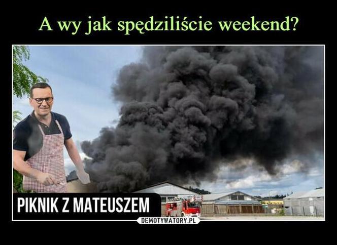 Najlepsze memy o Zielonej Górze