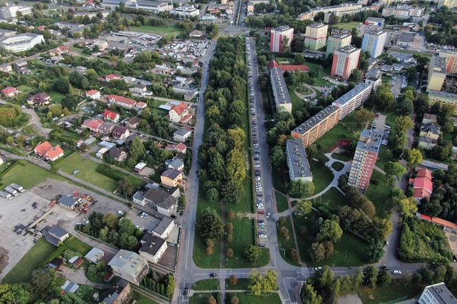 Rodzinne Planty najlepsze. Znane są wyniki tegorocznej edycji Budżetu Obywatelskiego w Dąbrowie Górniczej. 