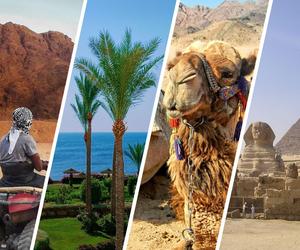 Egipt - last minute. Gdzie szukać i kiedy lecieć na wakacje?
