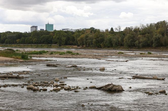Rekordowo niski stan wody w Wiśle w Warszawie (23.08.2025)