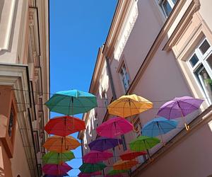 Światowy Dzień Fotografii. Z tych fotek są dumni nasi Czytelnicy! ZOBACZ