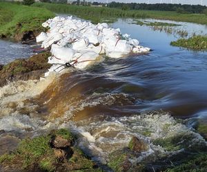 Zły stan wałów na Żuławach. „Są jak gąbka”