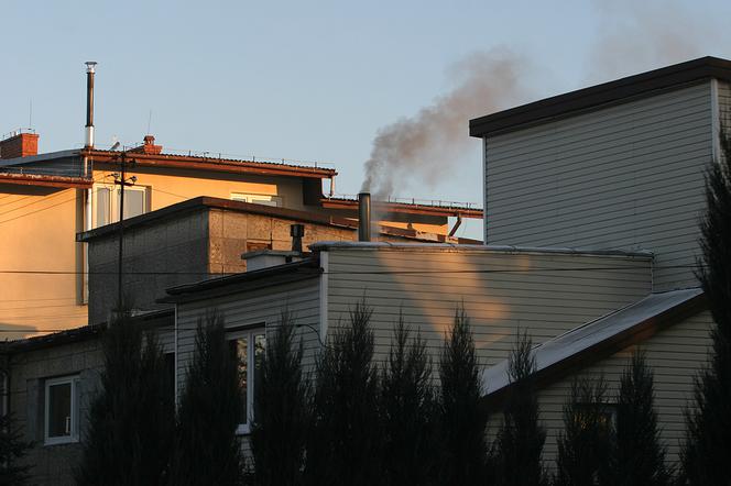 500 zł za palenie w kominku