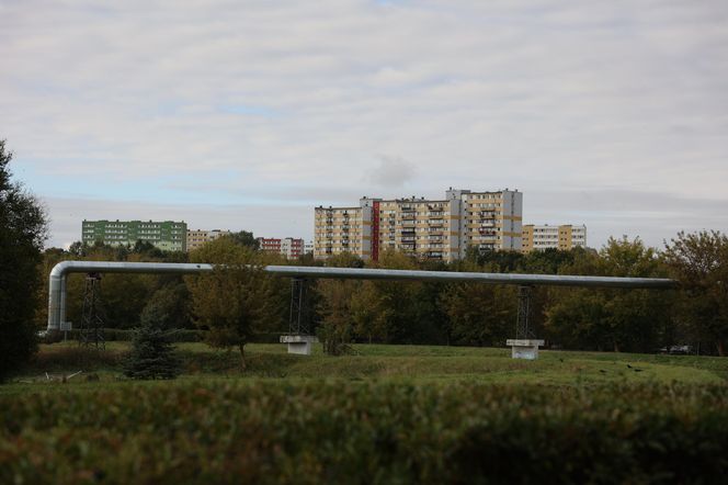 Jesienna odsłona terenów nad Bystrzycą w Lublinie. Tak się prezentuje w październiku