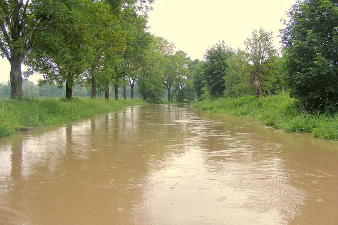 Poziom kilku rzek w woj. śląskim przekroczył stany alarmowe