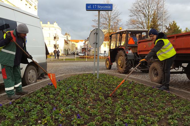 Za nieco ponad miesiąc wiosna! Na skwerach w Lesznie zaczęły się już pozimowe porządki