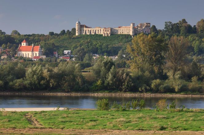 Widok na Kazimierz Dolny i zamek w Janowcu 