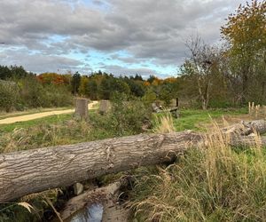 Serenity Park w Mysłowicach to nowe miejsce wypoczynku na Śląsku