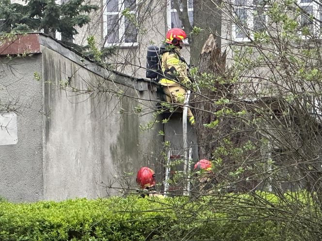 Ktoś podpalił zabytkową drewnianą mającą 208 lat dzwonnicę