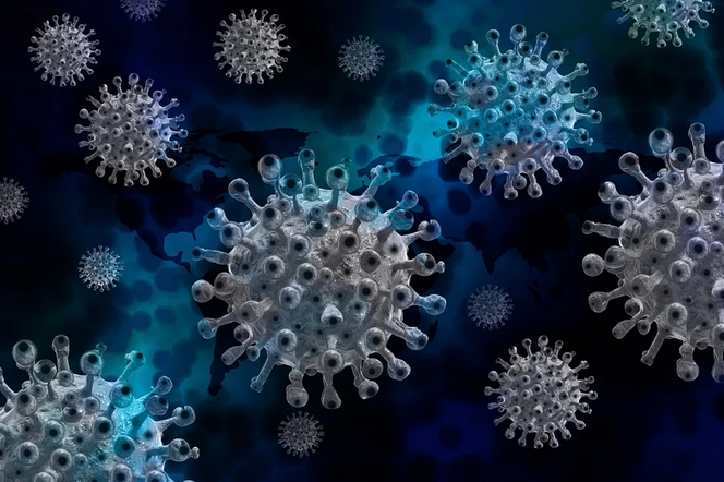 Nowy wariant koronawirusa w Polsce. Potwierdzono siedem przypadków zakażenia