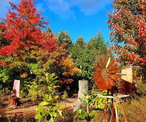 Ogrody Kapias w październikowej szacie wyglądają pięknie