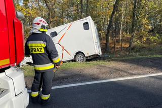 Cierpice: Zderzenie osobówki z autem przewożącym konia [ZDJĘCIA]