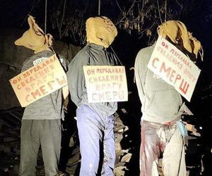 Publiczne egzekucje na Ukrainie. Ludzie z workami na głowach powieszeni na drzewach. Na szyjach mają tabliczki