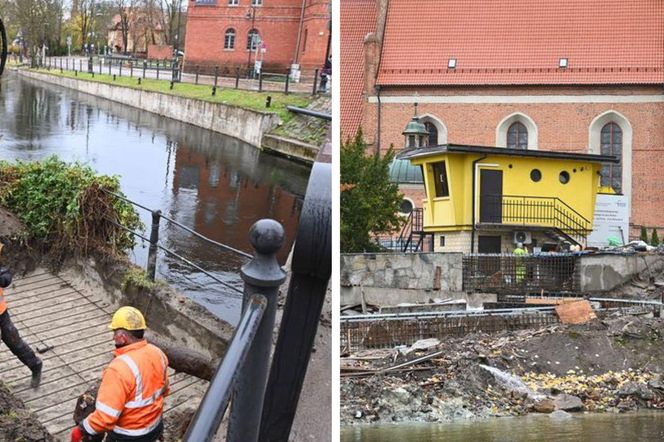 Koparki pracują na brzegu Brdy, przy farze w Bydgoszczy. To inwestycja z myślą o... rybach