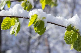 Pogoda na weekend: Zima nie odpuściła, zapowiadany jest śnieg, mróz i oblodzenia