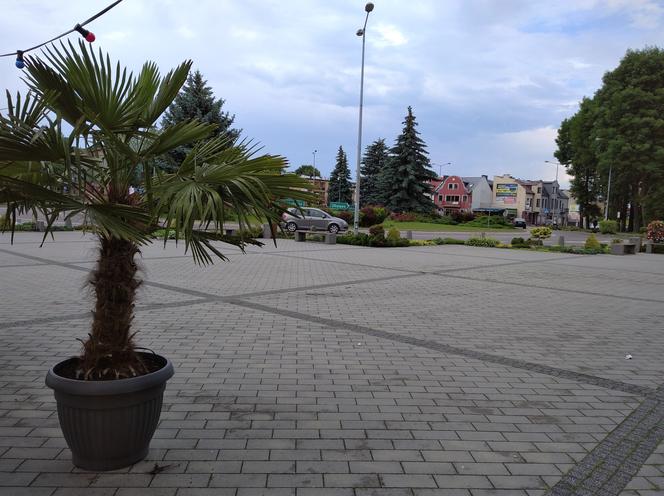 Rynek w Tomaszowie Lubelskim