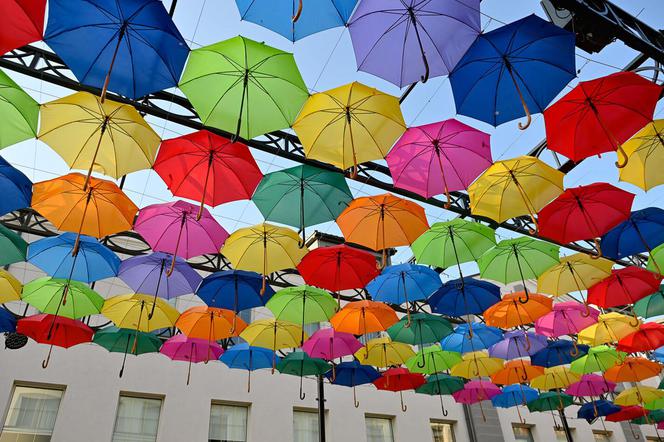 Pszczyna: Radnemu PiS nie spodobały się kolorowe parasolki. To inscenizacja tęczowej flagi