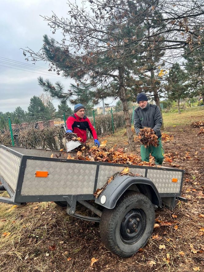 Rodzice Niebieskich TuliPanów tworzą dla nich dom w Bydgoszczy. Będą tam mieszkania wytchnieniowe i sale terapeutyczne