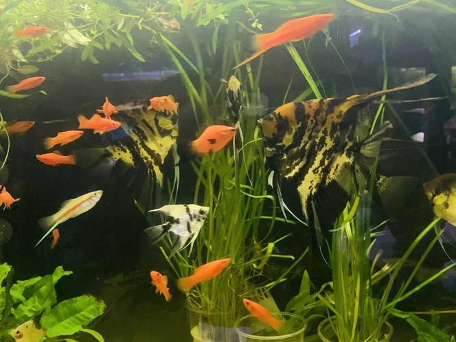 Rozmawiamy z Tomaszem Wiśniewskim, założycielem Aqua Dreams Bydgoszcz