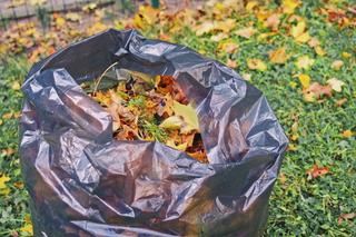 Kompostowanie w workach foliowych. Jak zrobić kompost w workach?