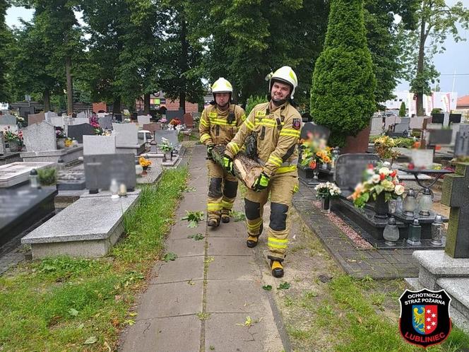 Zniszczone nagrobki na cmentarzu i zerwane dachy. To skutki wichury, która przeszła nad Śląskiem 