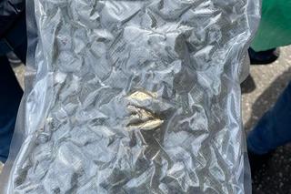 Marihuana w pomarańczach na obwodnicy Leszna