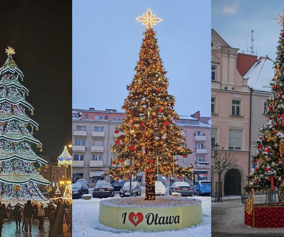 Świąteczne choinki na Dolnym Śląsku. W którym mieście jest najładniejsza?