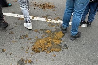 Dlaczego na Marszu Niepodległości 2024 w Warszawie tak śmierdziało? Końskie łajno to nie wszystko