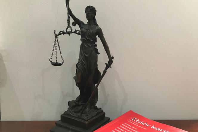 W Sądzie Okręgowym w Kaliszu trwa proces w sprawie bulwersującej zbrodni