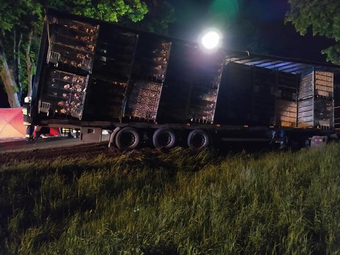 Ujazdówek. Przerażające ZDJĘCIA z wypadku na DK nr 60! Nie żyje kierowca citroena, który uderzył w volvo