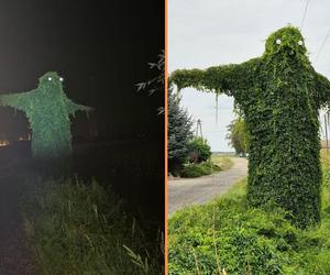 Buka z Krobusza śmieszy i przeraża. Upiorne latarnie mają konkurencję