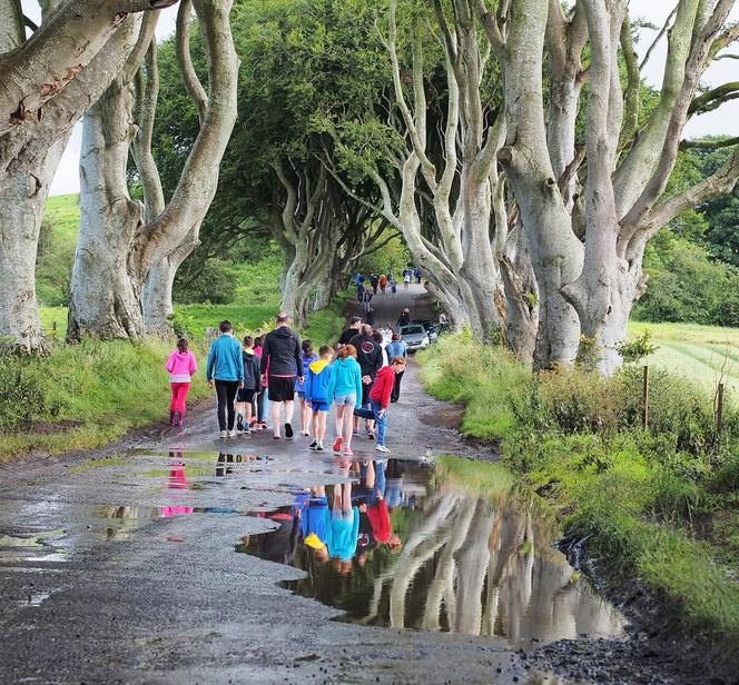 The Dark Hedges w Irlandii Północnej 