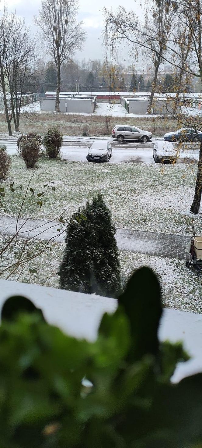 Pierwszy śnieg w tym roku. Pomorze pokryte białym puchem