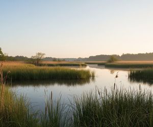 Wrocław z pierwszym rezerwatem. Jakie skarby ukryje teren dawnych pól irygacyjnych?