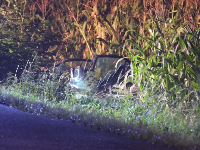 Roztrzaskał się mercedesem na drzewie. Nie miał żadnych szans